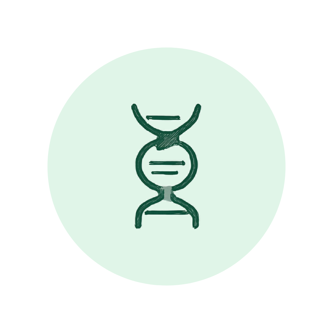 Regenerative